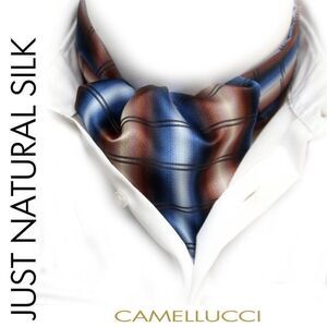 Men's Cravat Ascot Camellucci Brown Blue Plaid‎ Silk Gift Box A119